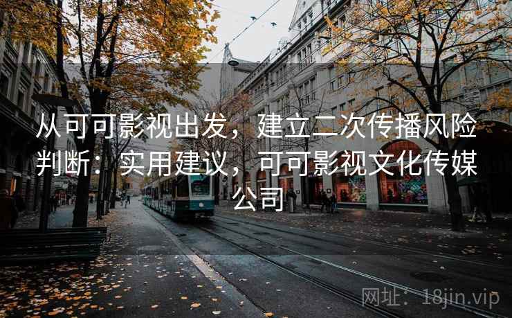 从可可影视出发，建立二次传播风险判断：实用建议，可可影视文化传媒公司