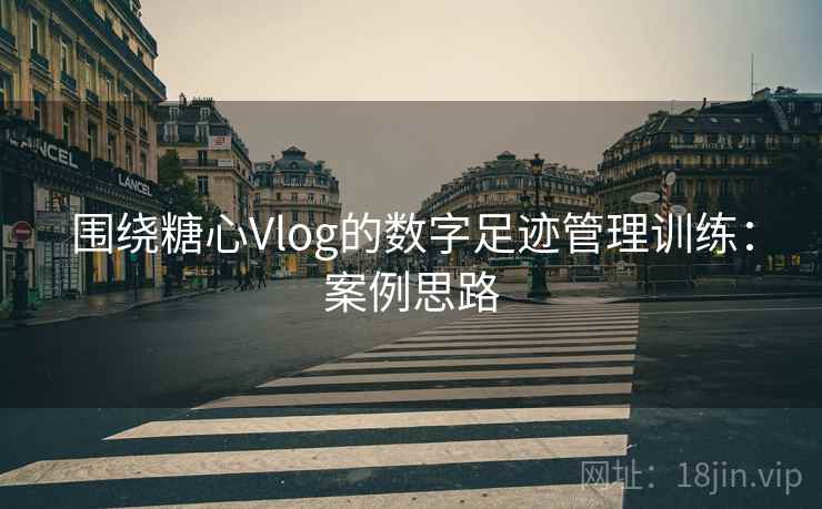 围绕糖心Vlog的数字足迹管理训练：案例思路