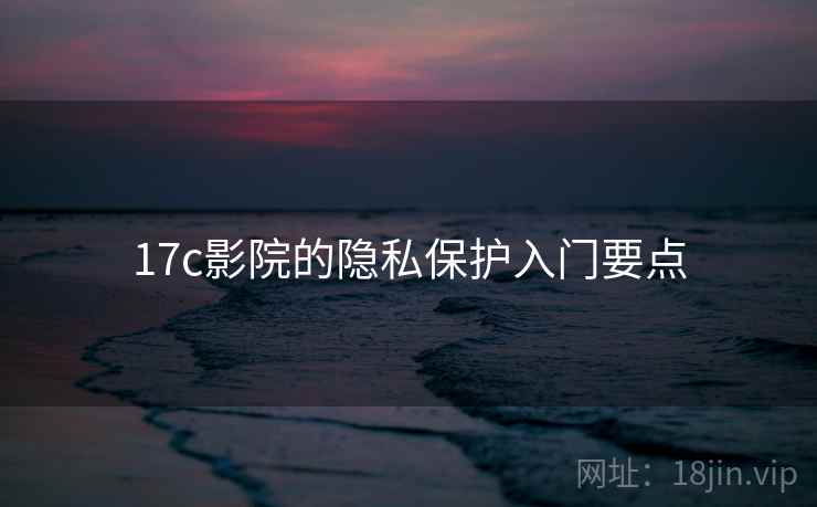 17c影院的隐私保护入门要点