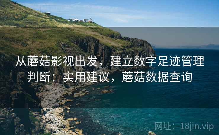从蘑菇影视出发，建立数字足迹管理判断：实用建议，蘑菇数据查询